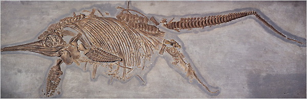 23creatures_CA0-articleLarge