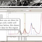 ROI Analysis.024.jpg